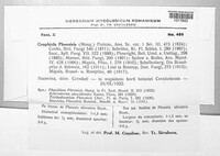 Graphiola phoenicis image